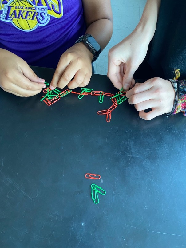 A photo showing two students working together to combine green and orange paperclips to create a chain.