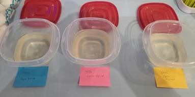 A photo showing three plastic containers of corn syrup baths, each containing a different percentage of corn syrup.