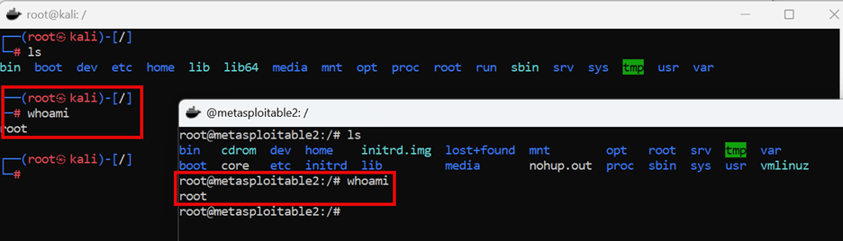 A side-by-side screenshot comparison of two terminal windows, one for a Kali Linux system and the other for a Metasploitable 2 container. Both terminals show the results of the whoami command, which confirms that the user is root in both environments.