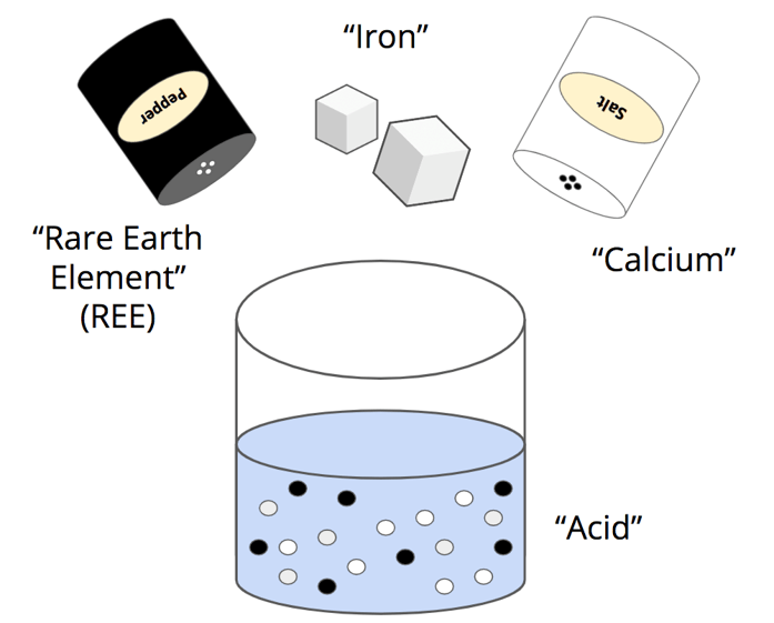 A diagram illustrating the initial setup for a science laboratory model designed to simulate Rare Earth Element (REE) extraction. The central element is a beaker of light-blue liquid labeled "Acid," containing suspended small black dots and white circles. Above the beaker, the components of the mixture are shown with their real-world analogies: A shaker of pepper represents the REE being extracted, a shaker of salt represents calcium, and two sugar cubes represent iron. The image visually sets up the challenge where students must separate the pepper (REE) from the dissolved salt and sugar within the water (Acid) model.