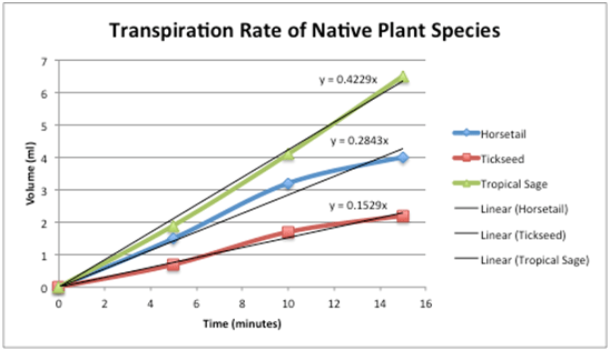 the rate of transpiration