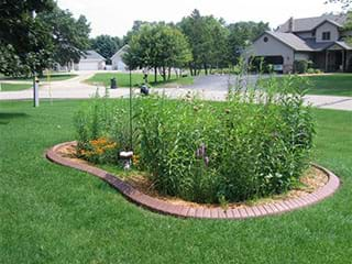 A rain garden.