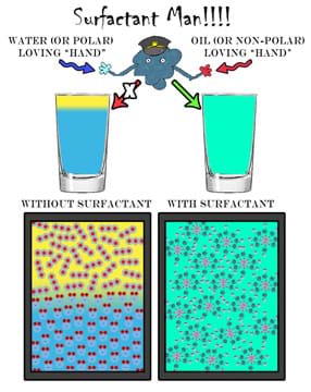 Cartoon illustration identifies surfactant man's water (or polar) loving hand and oil (or non-polar) loving hand. Containers of oil and water are shown side view and microscopically, to compare how the oil and water, and molecules, behave without surfactant (separated) and with surfactant (mixed).