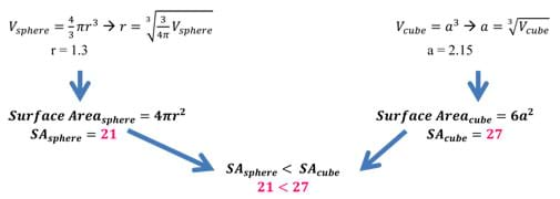 Calculations show sphere surface area of 21 compared to cube surface area of 27.