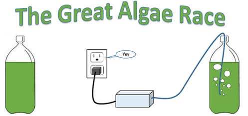 A drawing shows two mini-photobioreactors; both are 2-liter soda bottles nearly full of green liquid (algae). One bottle is capped closed. The other bottle is aerated through its cap with a fish tank pump.