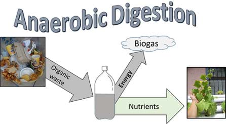 A diagram shows a simple digester (looks like a 2-liter plastic bottle) in the center. Organic waste material (mainly food waste) is added to the digester from which it releases energy (in the form of biogas) and nutrients (suitable for plants).
