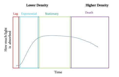 A graph shows time vs. how much light is absorbed. 