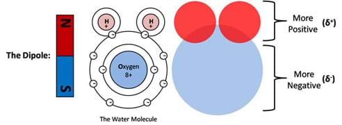 A line drawing shows a bar magnet (dipole) marked with S and N on its ends; an oxygen molecule with 8+ in its center, 8 evenly distributed electrons orbiting it and 2 hydrogen (H+) attached via 2 electrons on one side; and a large blue circle with 2 smaller red circles attached to one side. The top half of the diagram with the two hydrogen molecules is marked as more positive, and the lower side with the oxygen molecules is marked as more negative.