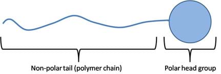 Line drawing shows a long curvy line (called the non-polar tail, or polymer chain) with a sphere at one end (called the polar head group).