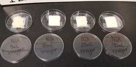 A photograph shows four clear plastic petri dishes with a labeled lid next to each dish. Each dish has a whitish square in it. The labels say: NSA 5 ml vinegar, NSA 10 ml vinegar, NSA 20 ml vinegar, NSA 40 ml vinegar.