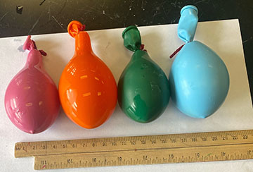 Image of a set of sucrose balloon samples after the samples produced CO2. Four inflated balloons sit on a table in a row. A ruler is set up below the balloons.