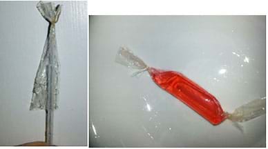 Two photographs: A length of thin and clear plastic tubing is tied closed at one end with string. After putting some red solution into the tubing, the other end is tied closed with string.