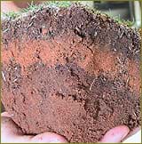 Photo shows a hand holding a softball-sized intact soil sample. Soil has reddish hues, and three distinct layers with grass at the top.