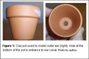Clay pot used to model outer ear (right). Hole at the bottom of the pot is entrance to ear canal.