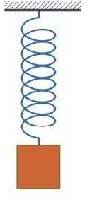 A simple spring used to learn stress, strain and Hooke's Law.