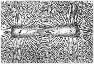 Picture of iron filings lining up along the field lines produced by a bar magnet.
