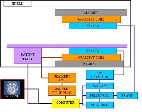 A diagram shows the major MRI hardware components and how they are connected to each other. The top portion illustrates what is included in a hospital's scan room, including the magnet, gradient coils, RF coils, patient table and room shield. Elsewhere, flow chart lines show that a computer controls all components, including gradient amp, gradient pulse programmer, RF detector, digitizer, pulse programmer, RF amp, RF source, and a display screen for controls, interface and the resulting images.