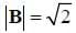 |B| = square root of 2
