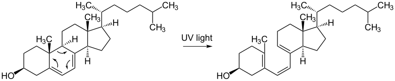 Two drawings of organic molecular structures show the production of vitamin D from the reaction between the molecule 7-dehydrocholesterol and UV light.