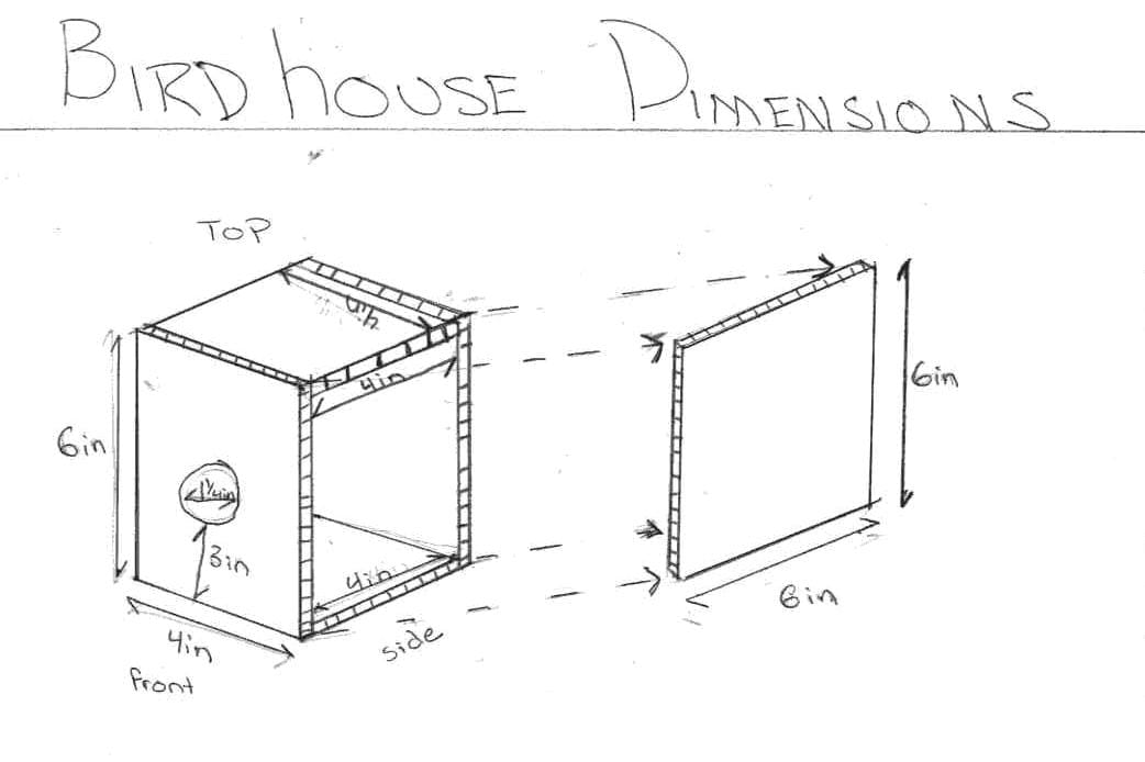 Birdhouse Dimension Chart