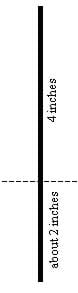 Line drawing shows a dashed line 4-in down from top of skewer, leaving about 2 in below the dashed line.