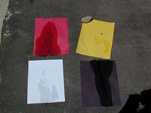 Photo shows four pieces of paper on an asphalt surface (white, black, red, yellow) with water stains on the papers.