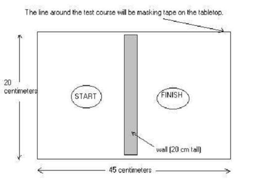 A diagram shows the layout of the hydraulic arm challenge. It shows that the rectangular playing field can be 45 x 20 centimeters with a wall that splits the rectangle in half with a wall so that there are two equal sides, each 20 x 22.5 centimeters. There is a start circle in the middle of one of the sides and a finish circle in the middle of the other side.