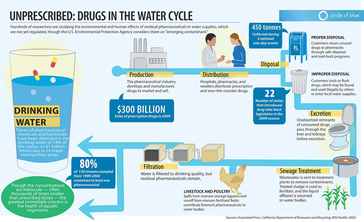 An infographic showing the process of how drugs end up in our drinking water. 