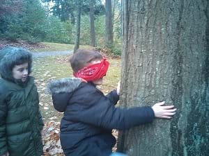 A young boy touching a tree while blindfolded.