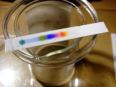 Photo shows a strip of white thin layer chromatography (TLC) paper on a glass beaker. A line of colored dots (green, blue, pink, orange, yellow) on the paper shows the separation of colored ink from the chromatography process.