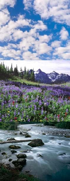 Three photos: A blue sky with white fluffy clouds. A forest and wildflower meadow with a mountain backdrop. A rapidly flowing stream.