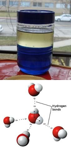 Photo shows a density column with a blue layer, a yellowish layer and a very thin clear layer. A 3D model drawing shows hydrogen bonding in water.