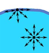 In a side view color diagram, arrows show forces on water molecules. In a side view color diagram, arrows show forces on water molecules.
