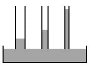 Line drawing shows water rising highest in the narrowest of three capillary tubes. Line drawing shows water rising highest in the narrowest of three capillary tubes.
